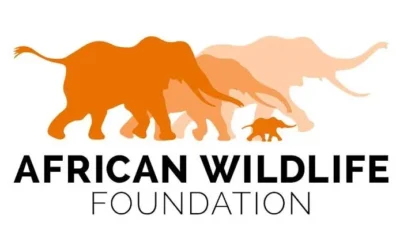 African Wildlife Foundation (AWF) Geospatial Leaders Fellowship 2026