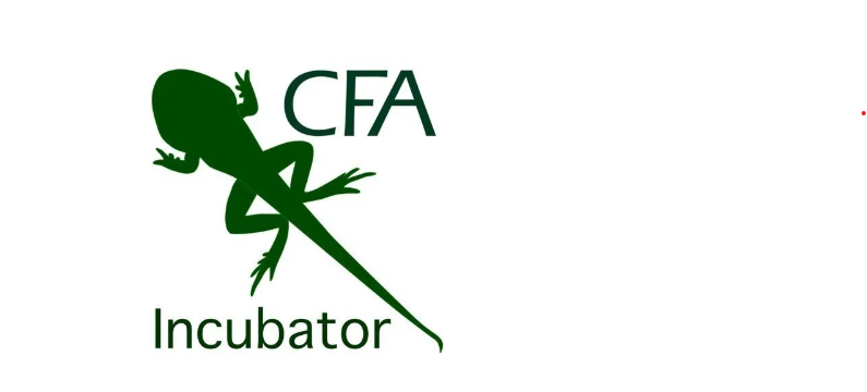 CFA Incubator Program 2026
