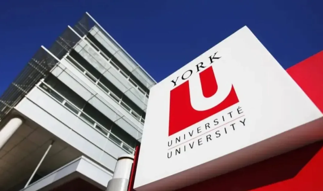 Dahdaleh Global Health Graduate Scholarship Program 2026