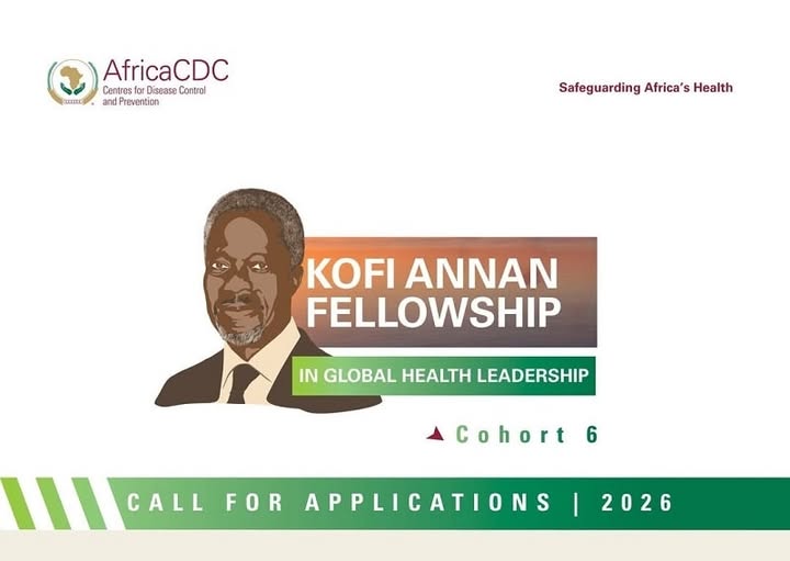 Kofi Annan Fellowship in Global Health Leadership 2026