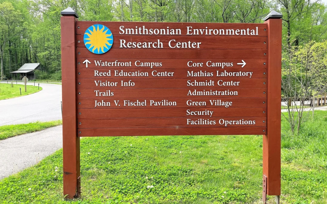 Smithsonian Environmental Research Center (SERC) Environmental Education Internship – Spring 2026