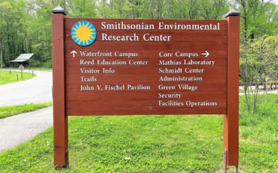 Smithsonian Environmental Research Center (SERC) Environmental Education Internship – Spring 2026