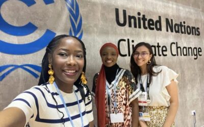 United Nations Framework Convention on Climate Change (UNFCCC) Internship 2026