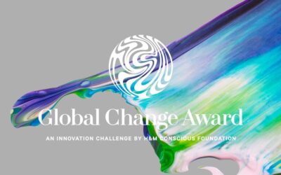 GLOBAL CHANGE AWARD 2026